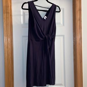NWT Navy Skater Dress
